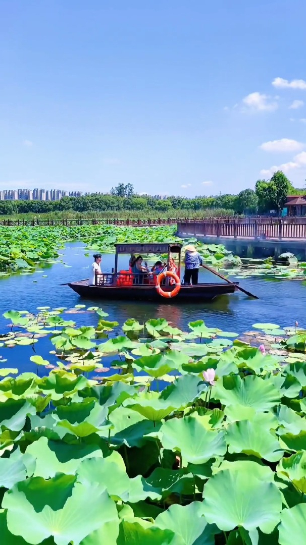 江南可采莲,莲叶何田田,鱼戏莲叶间