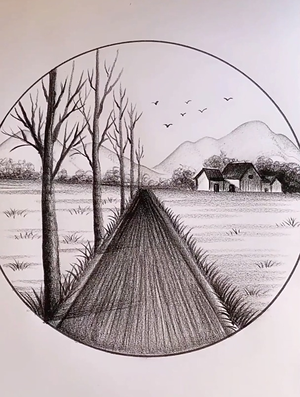 一支笔画画:家乡的小路