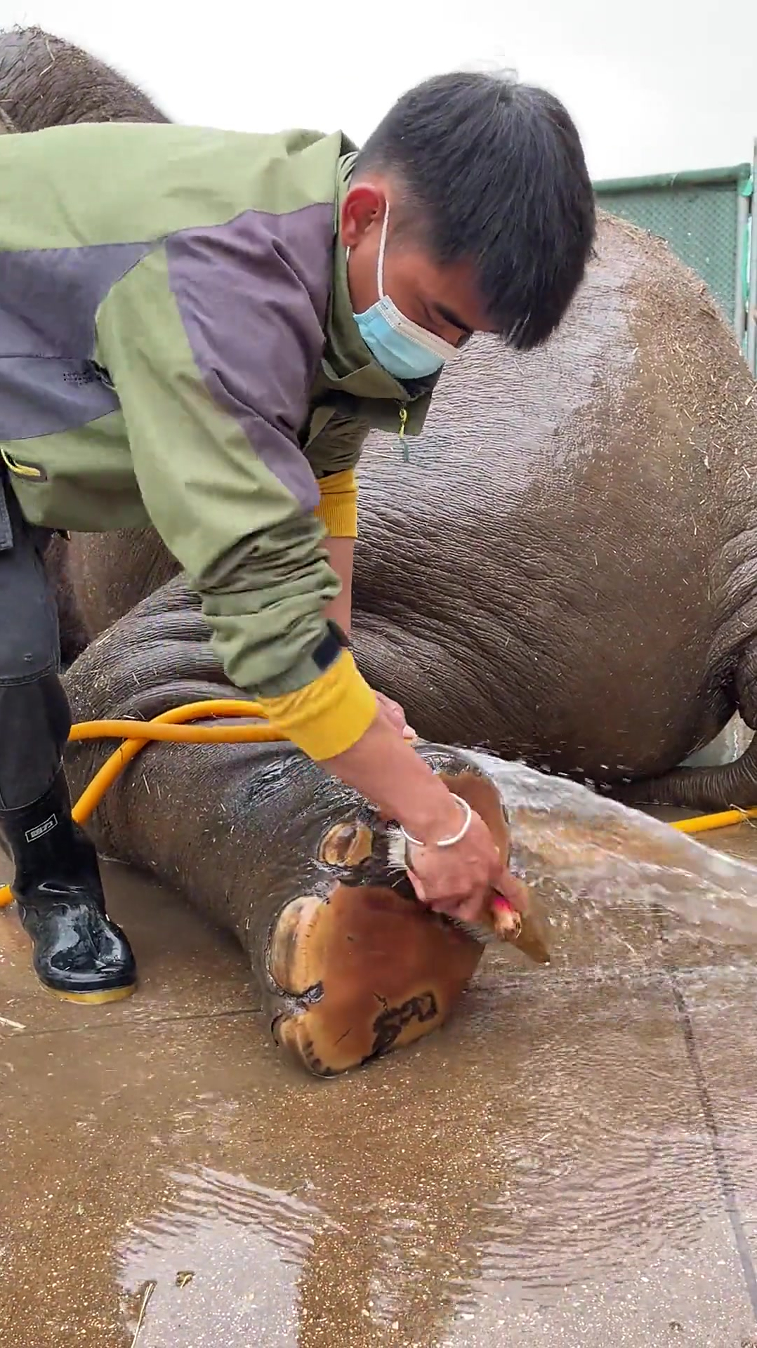 这个象蹄得穿多大码的鞋才合适