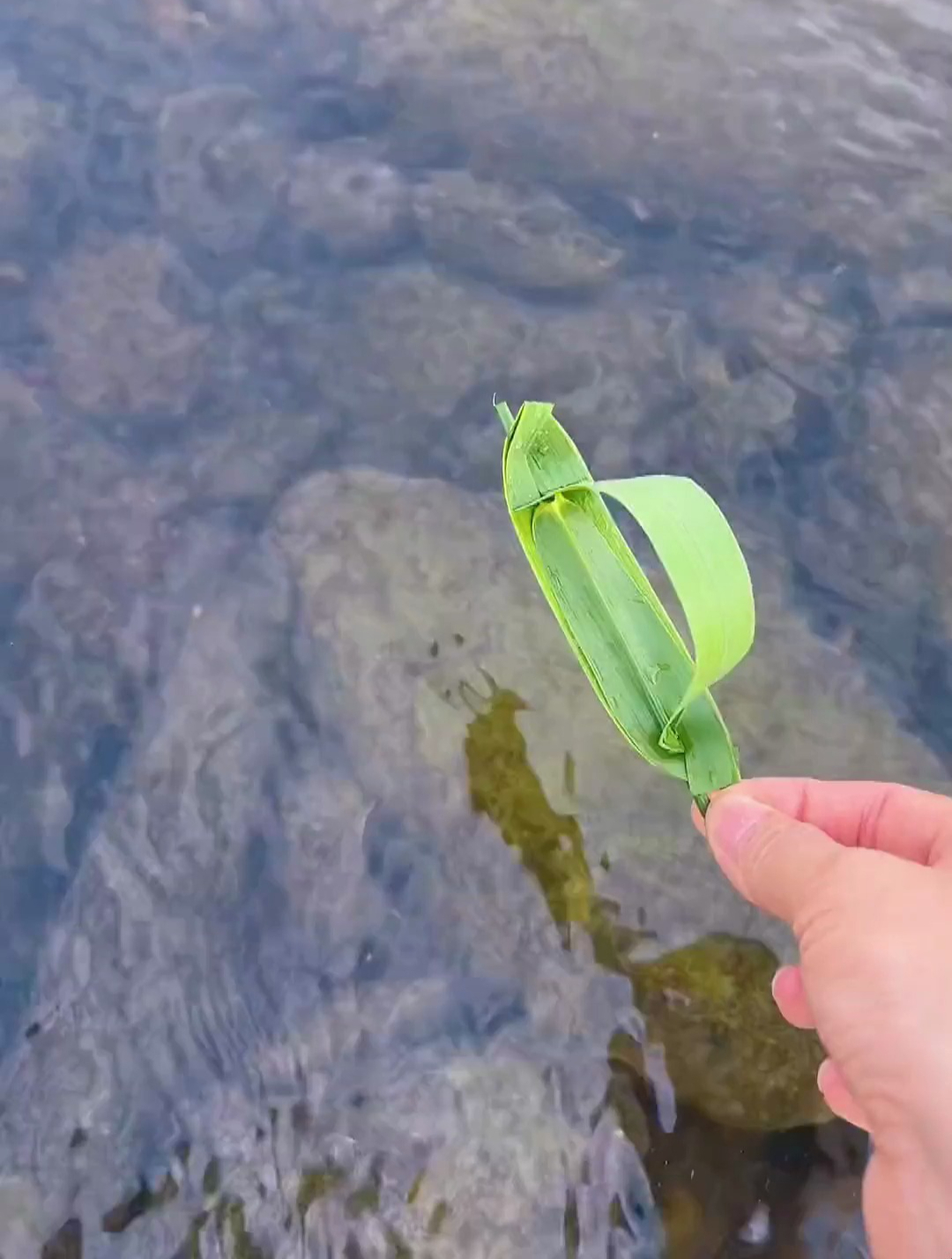 假期带孩子露营 想起来这个好玩的芦苇小船