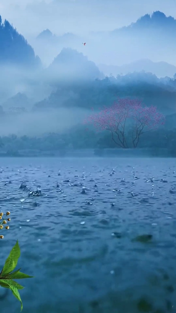 优美大自然:雨,有着种执着,亦有着种缠绵,喜欢雨