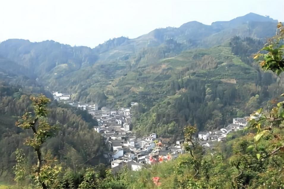 原名洪岭村,现名卖花渔村!安徽这一小村庄,种花历史长达千年!