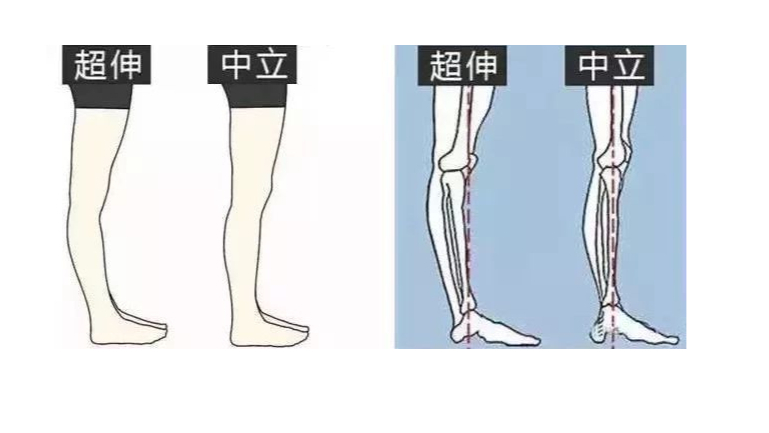 瑜伽山式站姿动作讲解