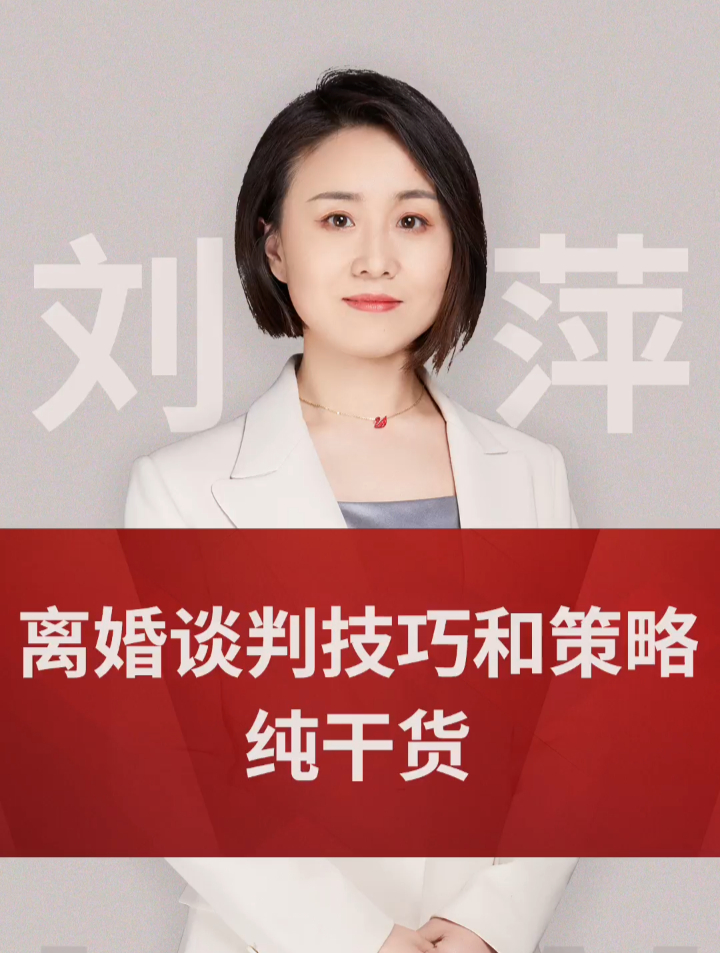 北京市元甲律所刘萍律师:离婚谈判技巧和策略,纯干货!-度小视