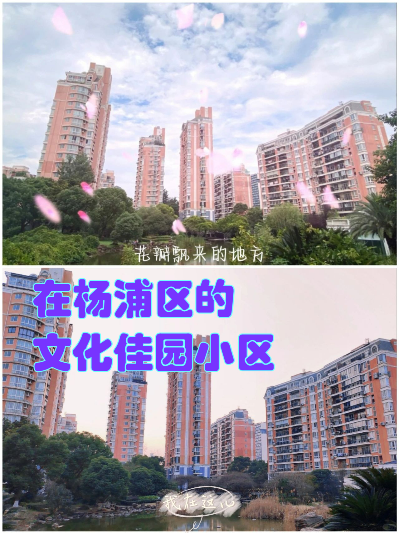 杨浦爱情公寓图片