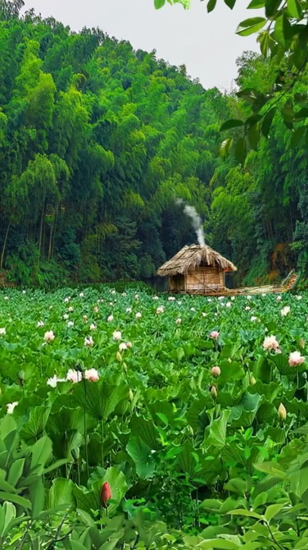 待我了無牽掛從此歸隱山林深山茅廬為家忙時修籬種花