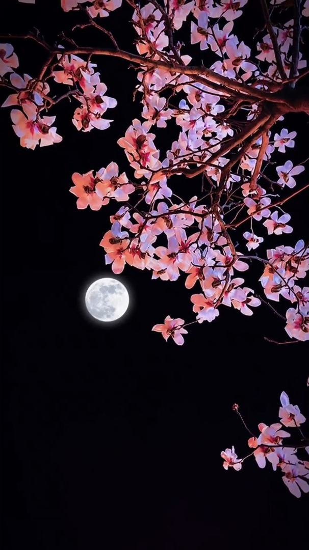 月圆向吉花开向喜愿日子如熹光温柔又安详你我平安亦喜乐