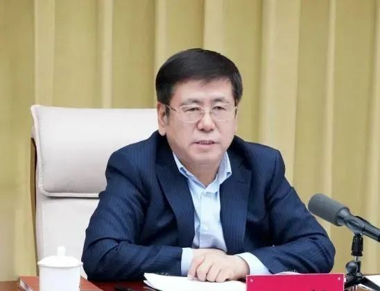 掌舵长春两年后,王凯回到了家乡,担任河南省委副书记,前途光明