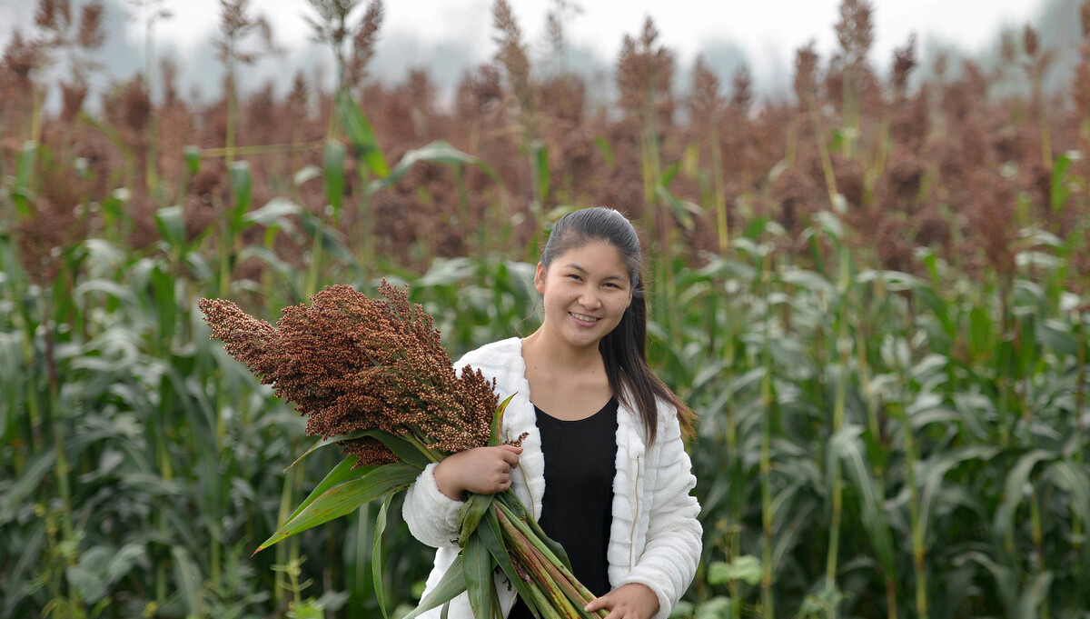 农民种地不挣钱,为什么还有这么一些农村人仍然留守在家?