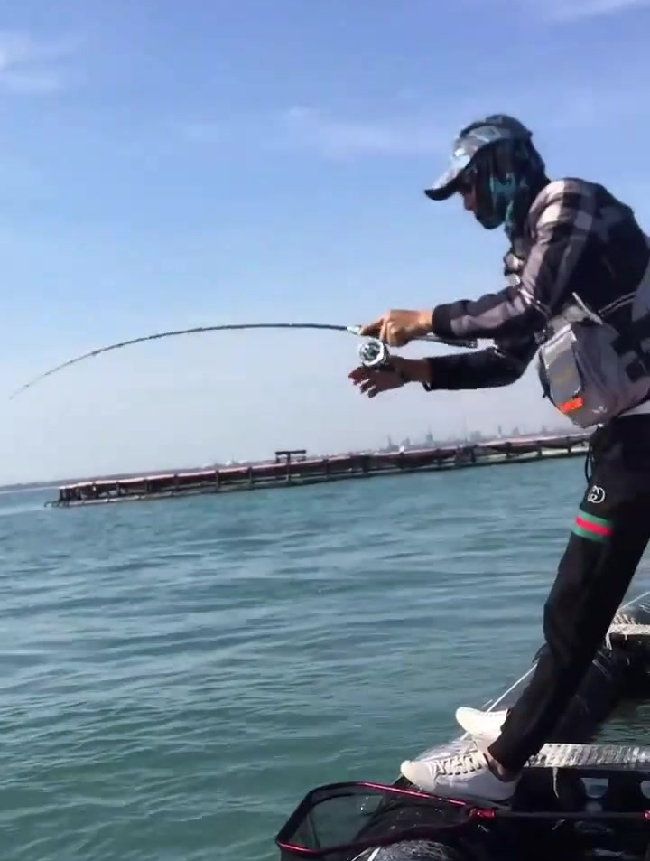 上货上货今天的收获不错真实户外海钓