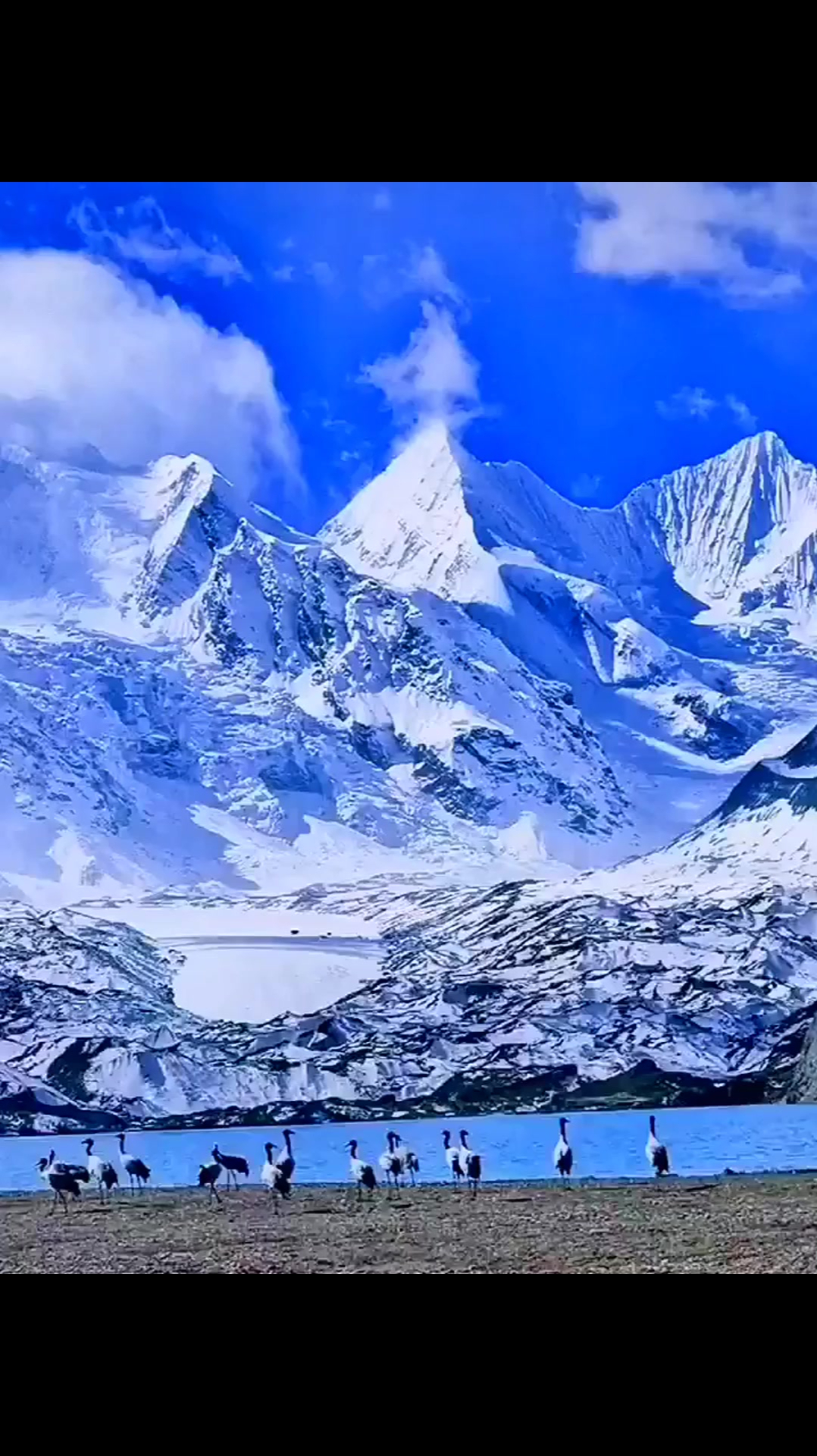 愈风景自然:青藏高原,我最爱的家乡神奇的土地最美