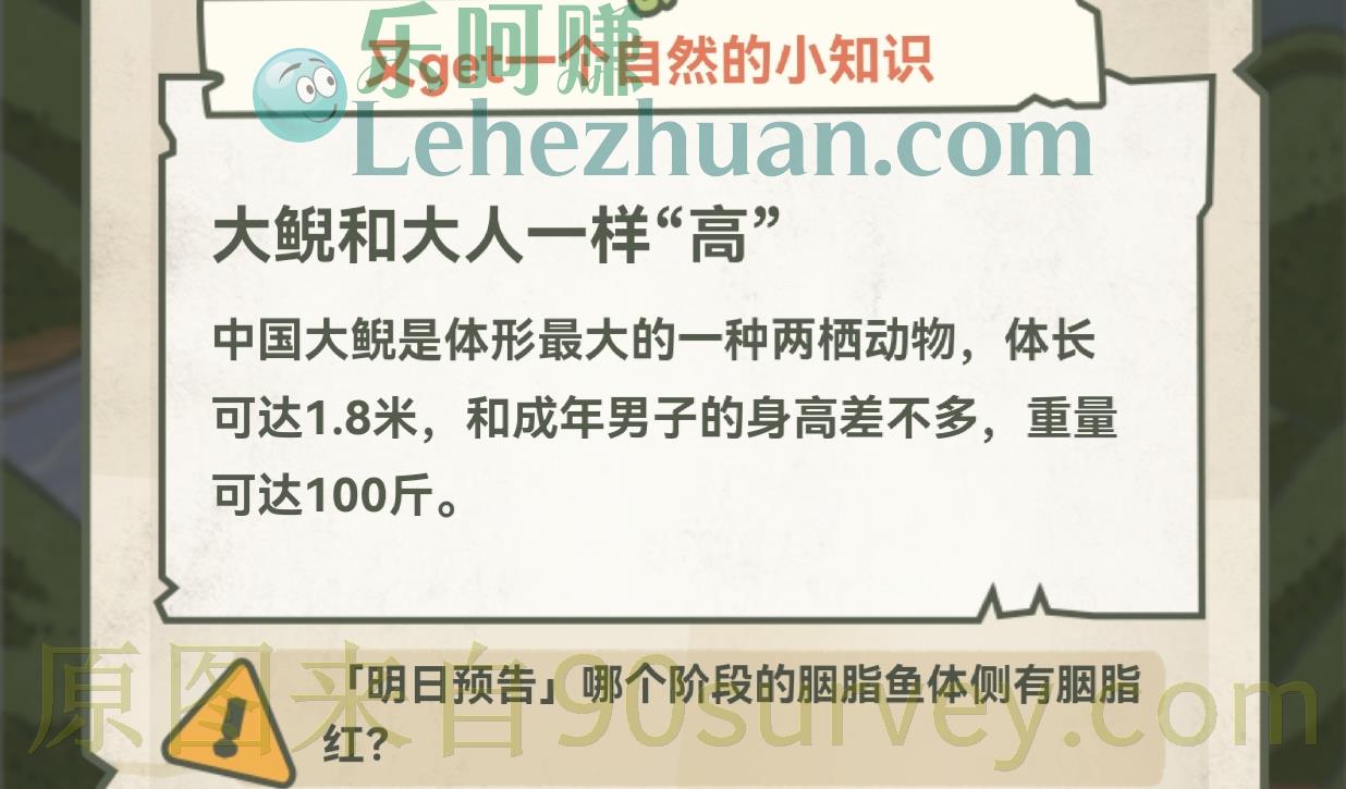 成年的中国大鲵到底有多大?答案:和大人一样高 成年的中国大鲵到底有多大?答案:和大人一样高