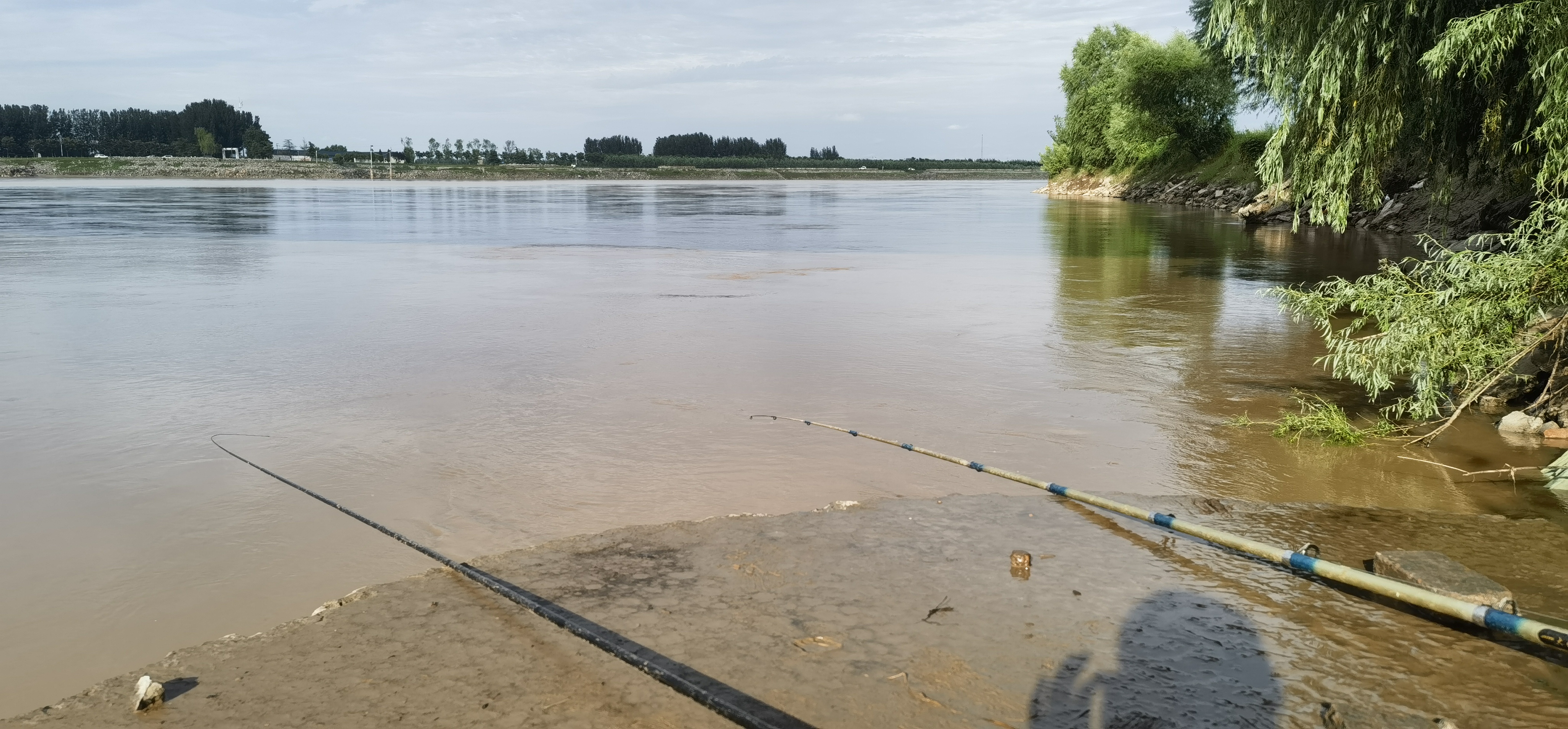 黄河钓鱼有意外,郑州钓友钓获"牢底坐穿鱼",垂钓多年也没见过