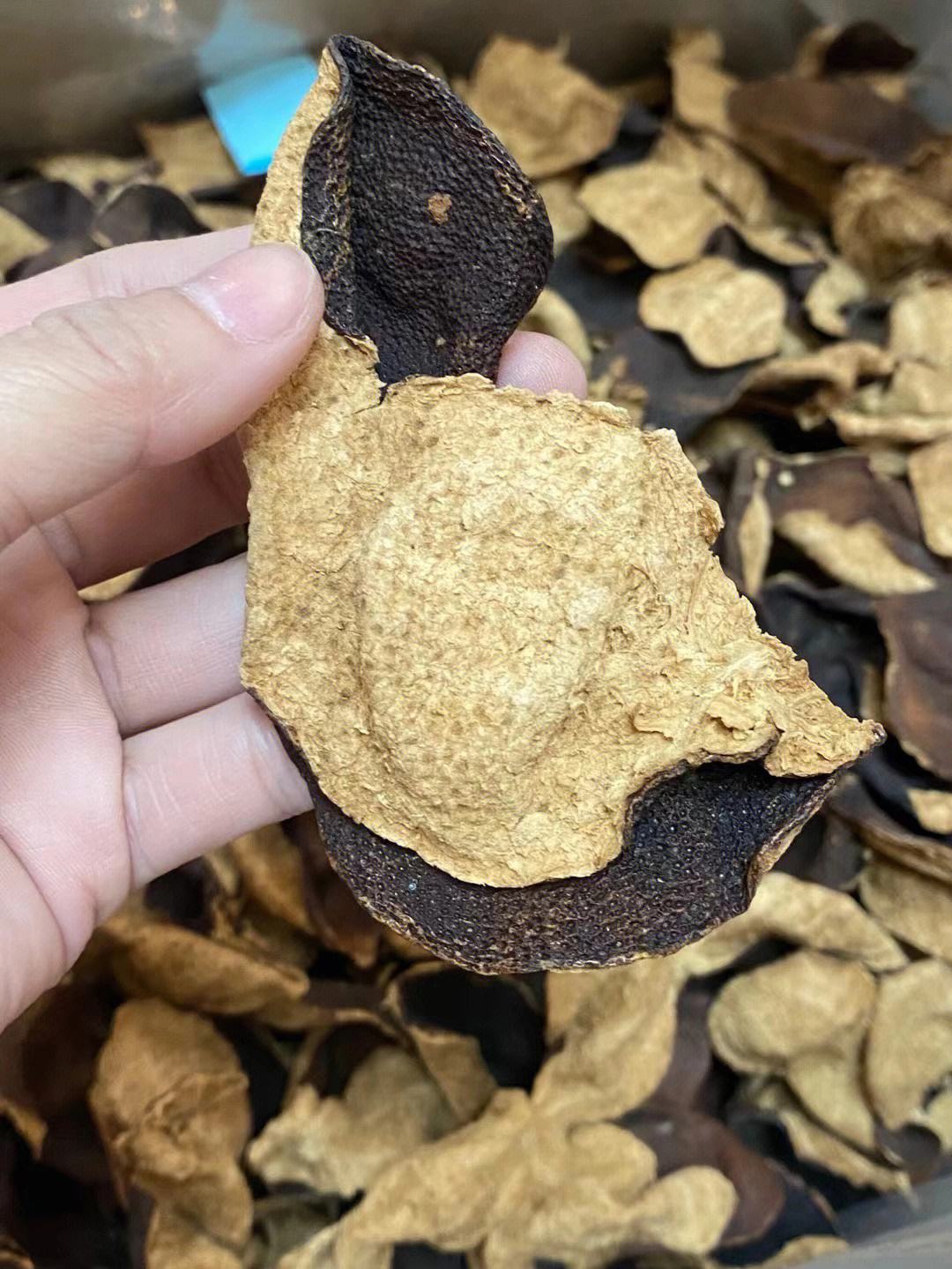 陈皮入门开启香气与健康的旅程