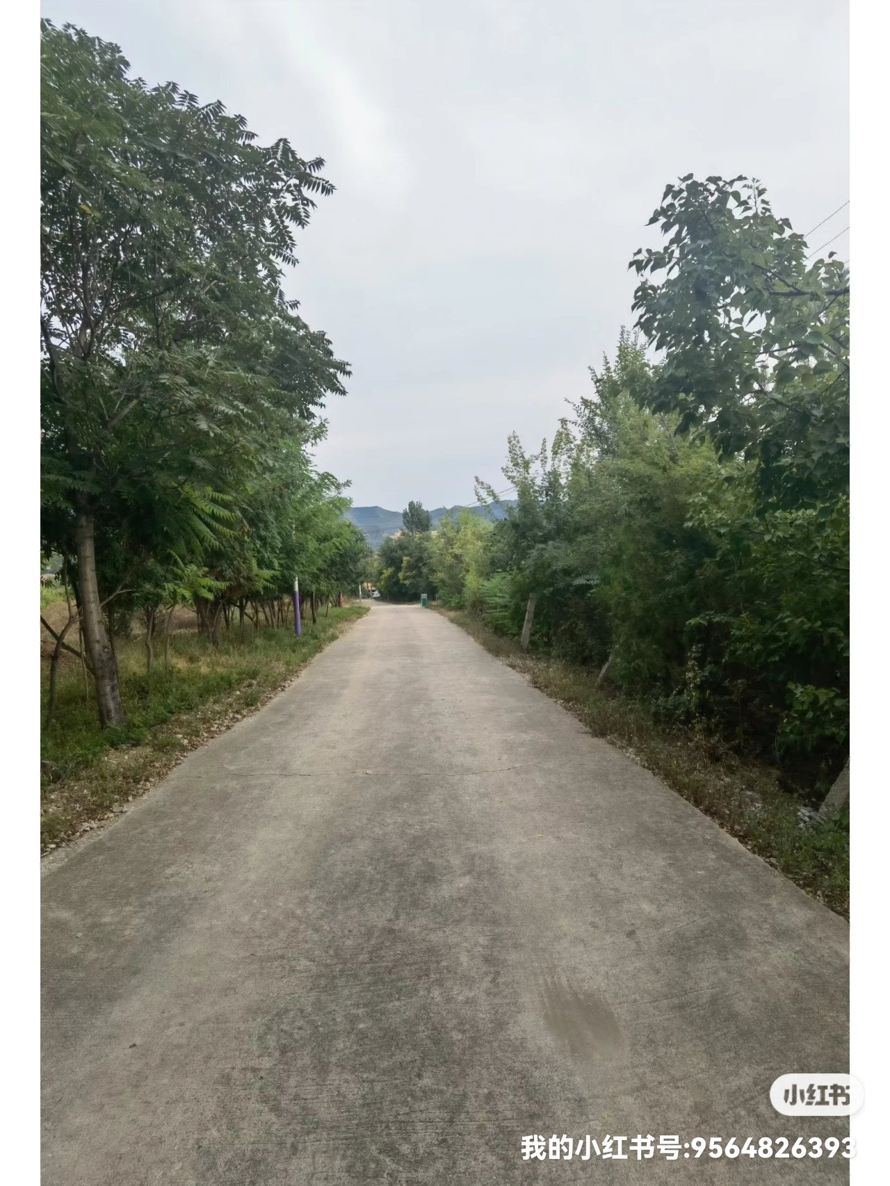 休闲散步好去处～喀左东山森林公园