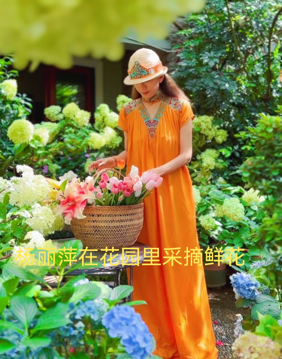 杨丽萍晒私人花园,挎篮子采花如仙子,与孔雀公鸡为伴,配文深思