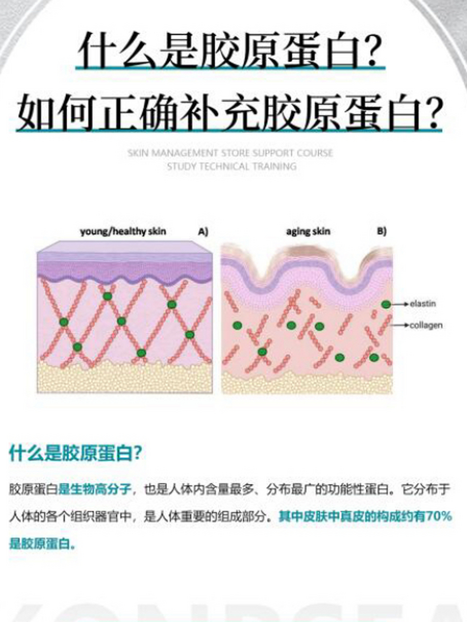 胶原蛋白的作用与功效 #胶原蛋白#   胶原蛋白对于人体健康又有很多的