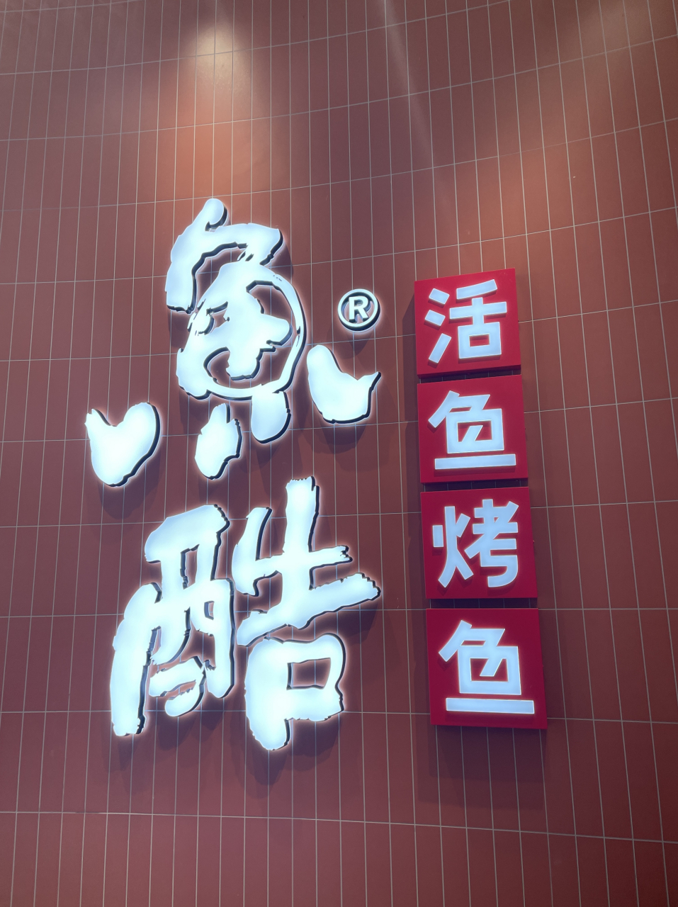 美食# 鱼酷烤鱼,一次吃俩,更推荐推荐荔枝香辣鲜活鮰鱼