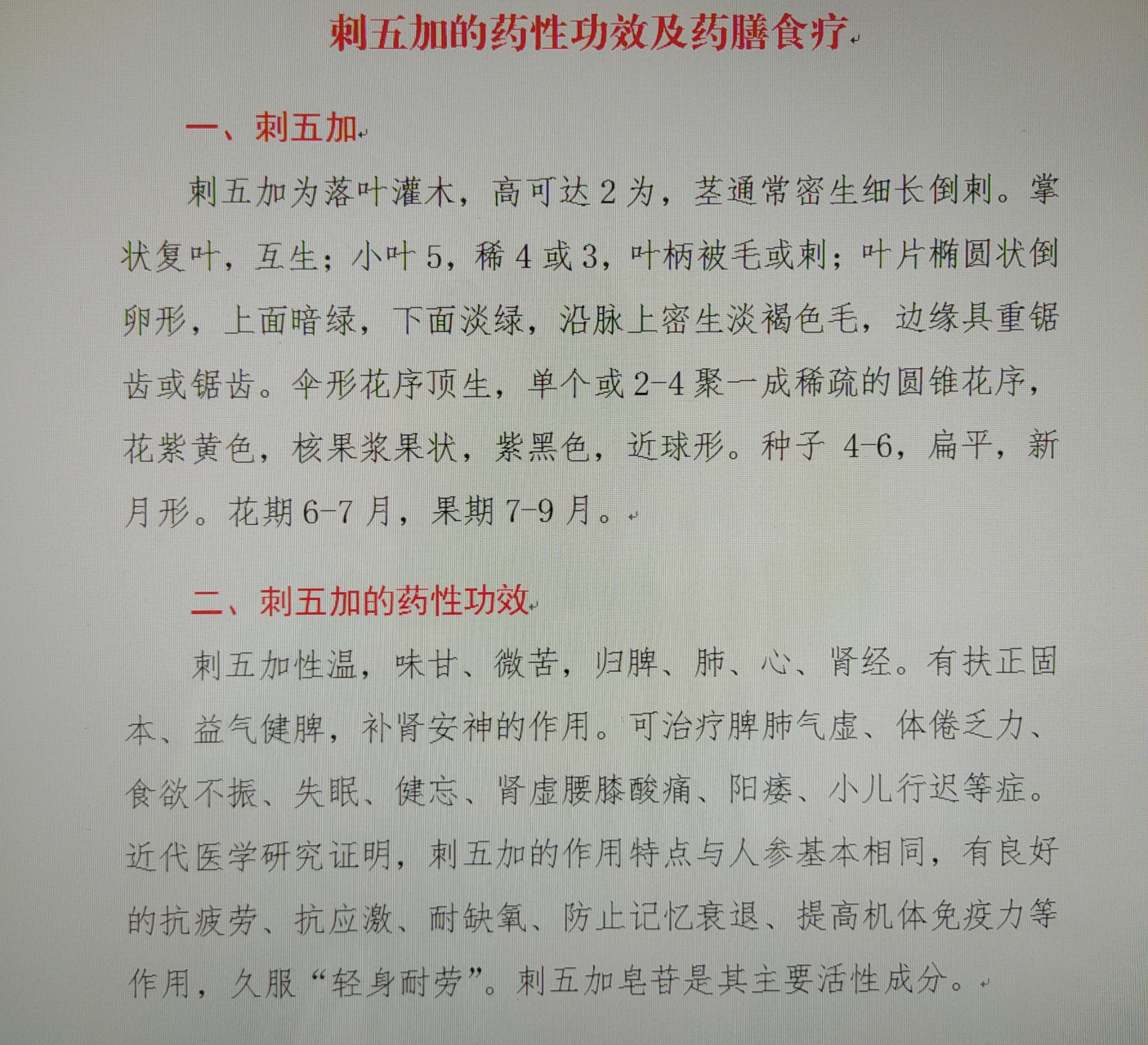 中药"刺五加"一一功效特性及药膳食疗
