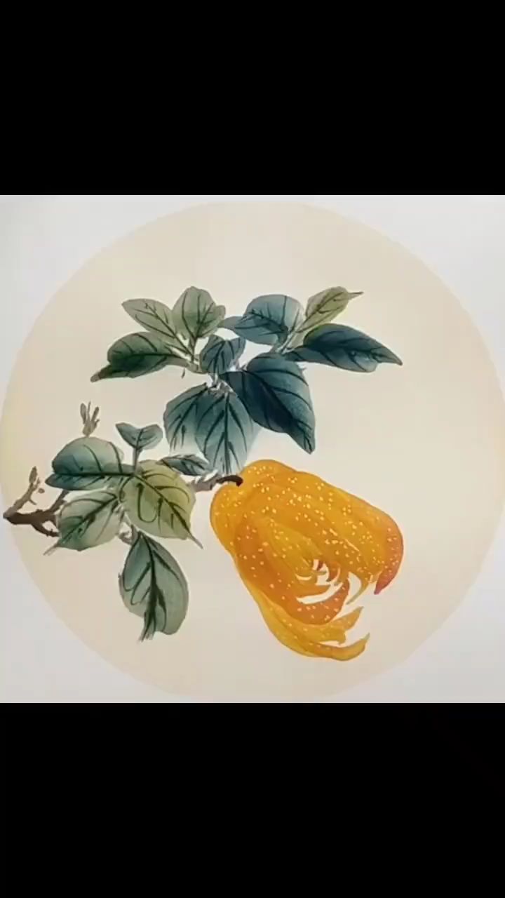 简单好学的佛手瓜画法