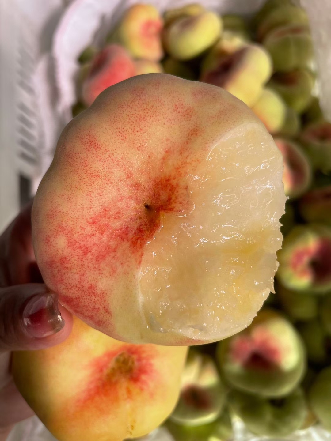 陕西大荔毛蟠桃最后一天接单了,明天下架再想吃就得等明年了