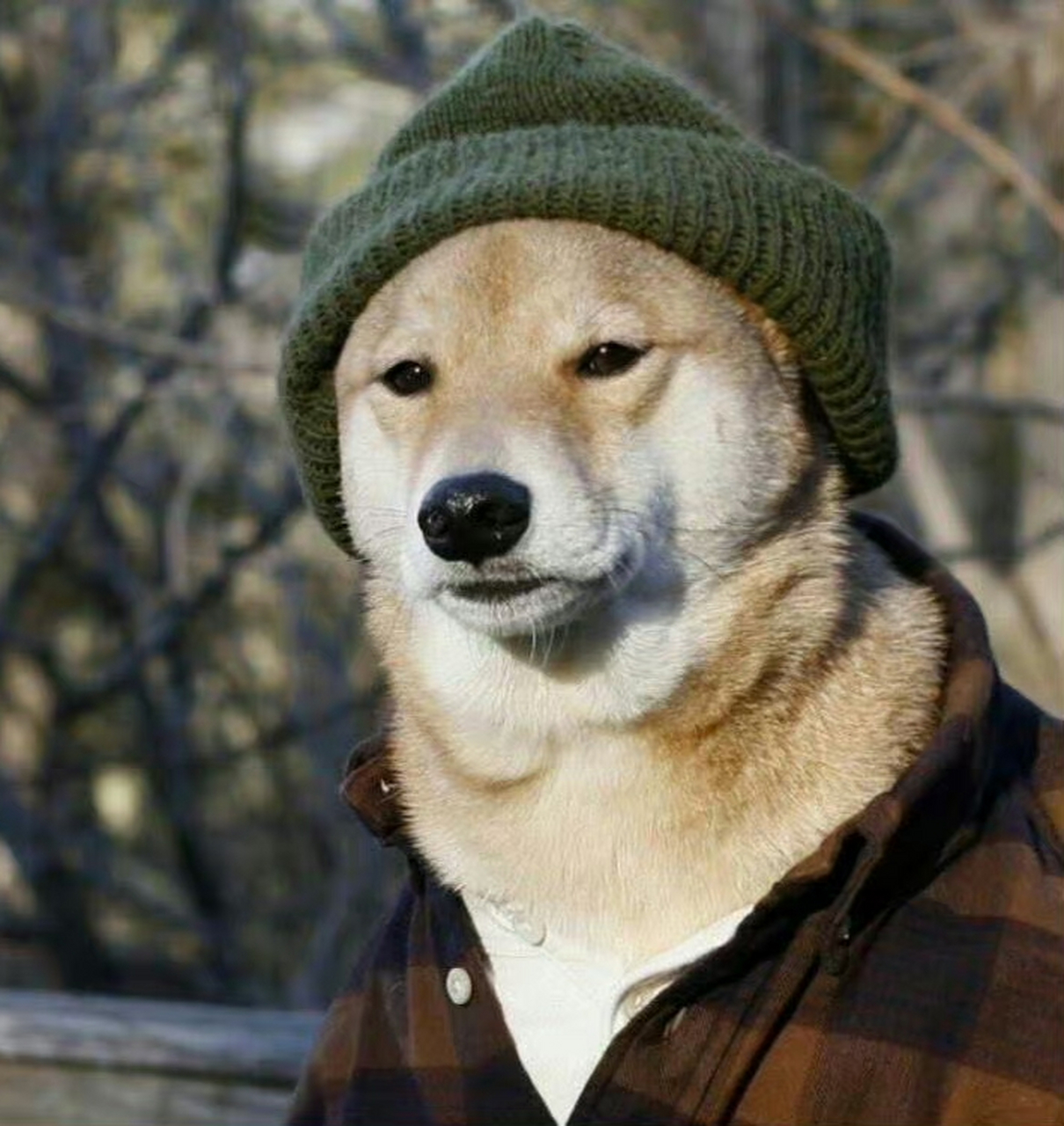 "人定胜天"是一句言过其实的鼓励,"人是被抛到这个世界上来的"才是实