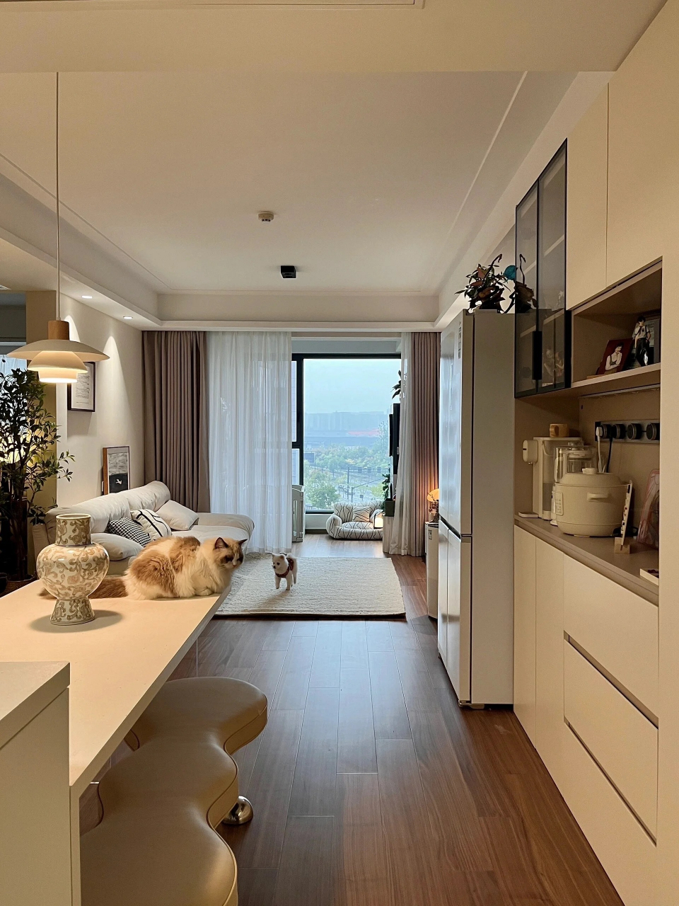 第一次装修装出的梦中情房 房子不大,但是布局很合理且温馨70