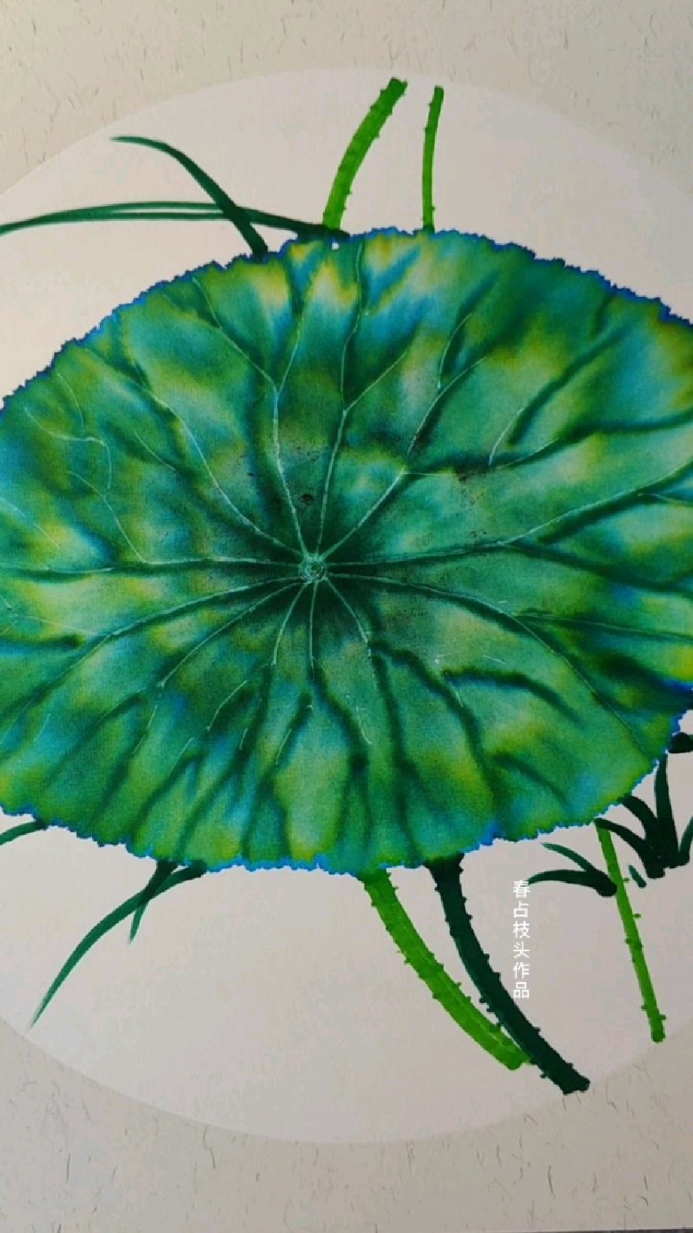 马克笔画荷叶,太神奇了!