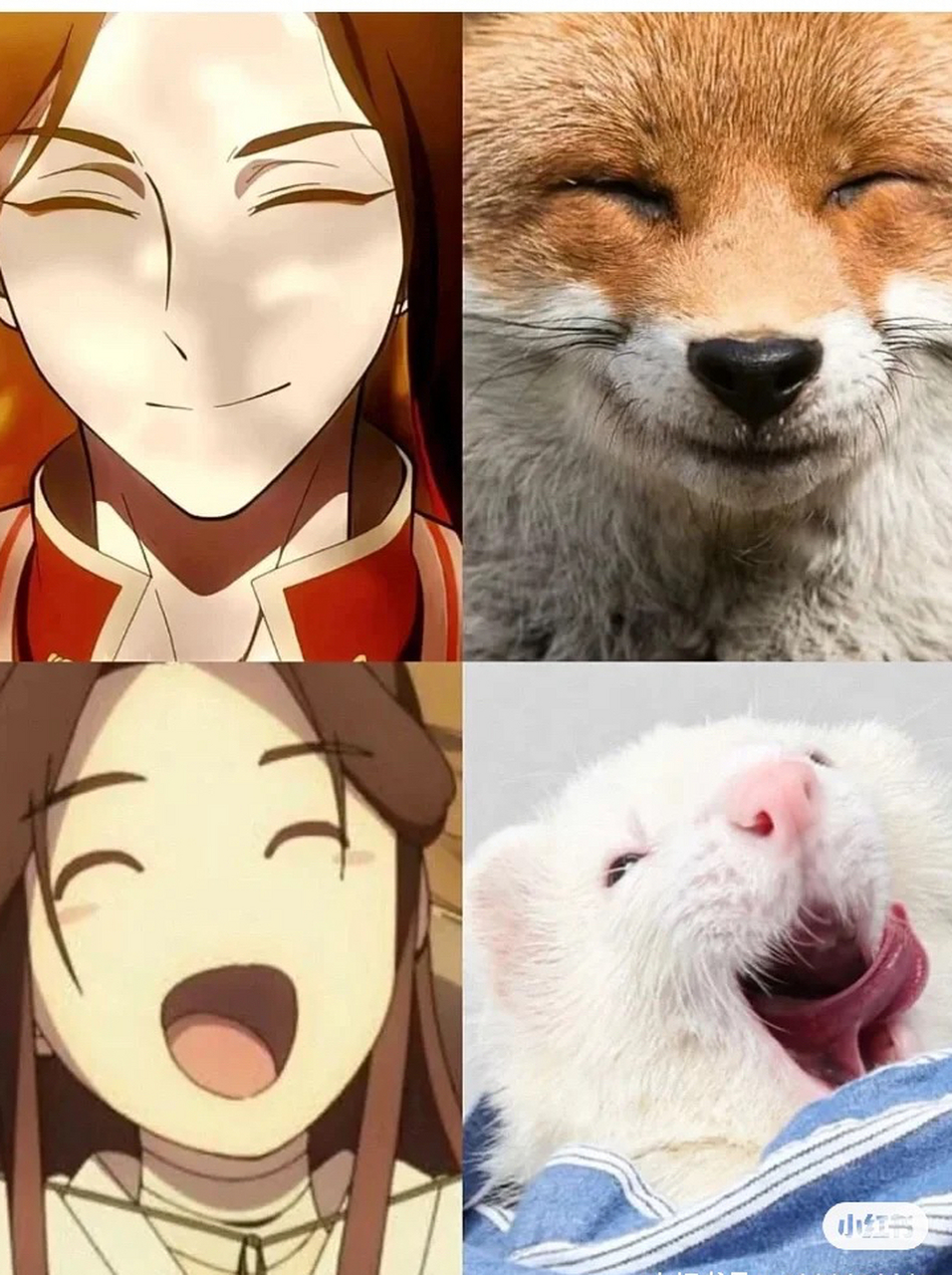 除了忘羡的兔子,还有花怜的狐狸,可爱到爆炸[左捂脸][左捂脸][左捂脸]