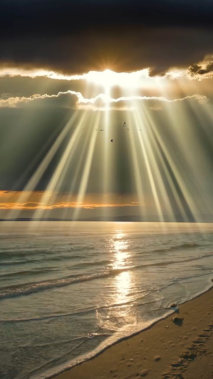 "万物皆有裂痕,那是光照进来的地方.