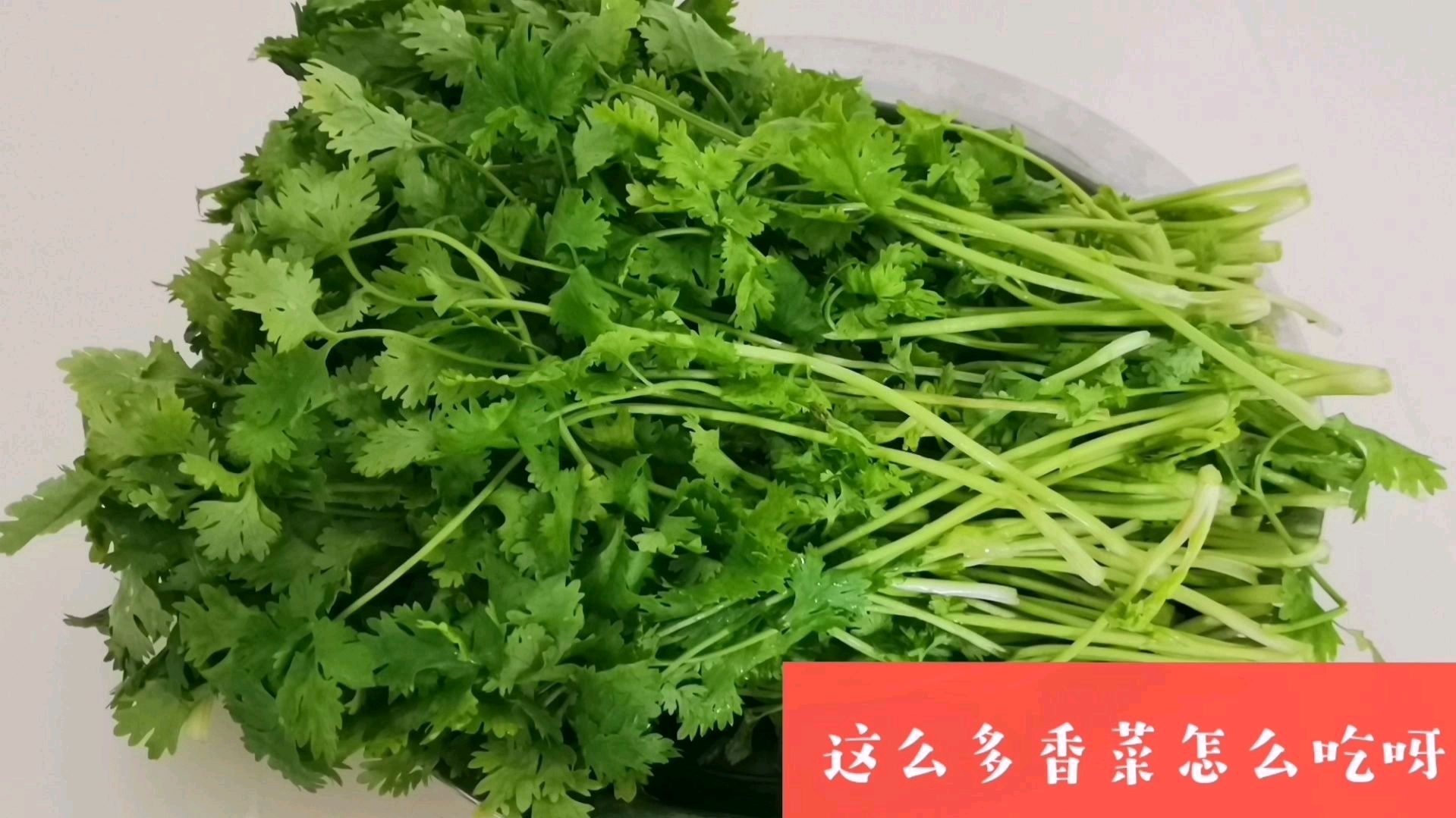 常见的香菜,不常见的做法,您也试试吧!