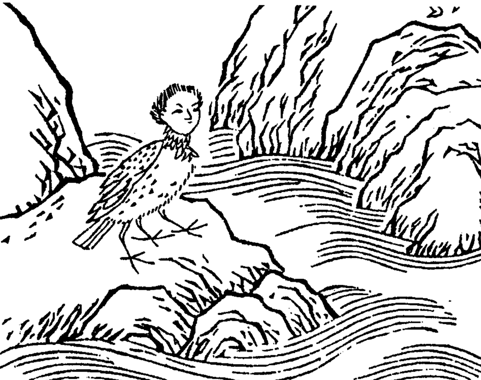 瞿如(qú rú) 据南次三经所记,祷过山上有一种鸟,叫做瞿如,它的脑袋