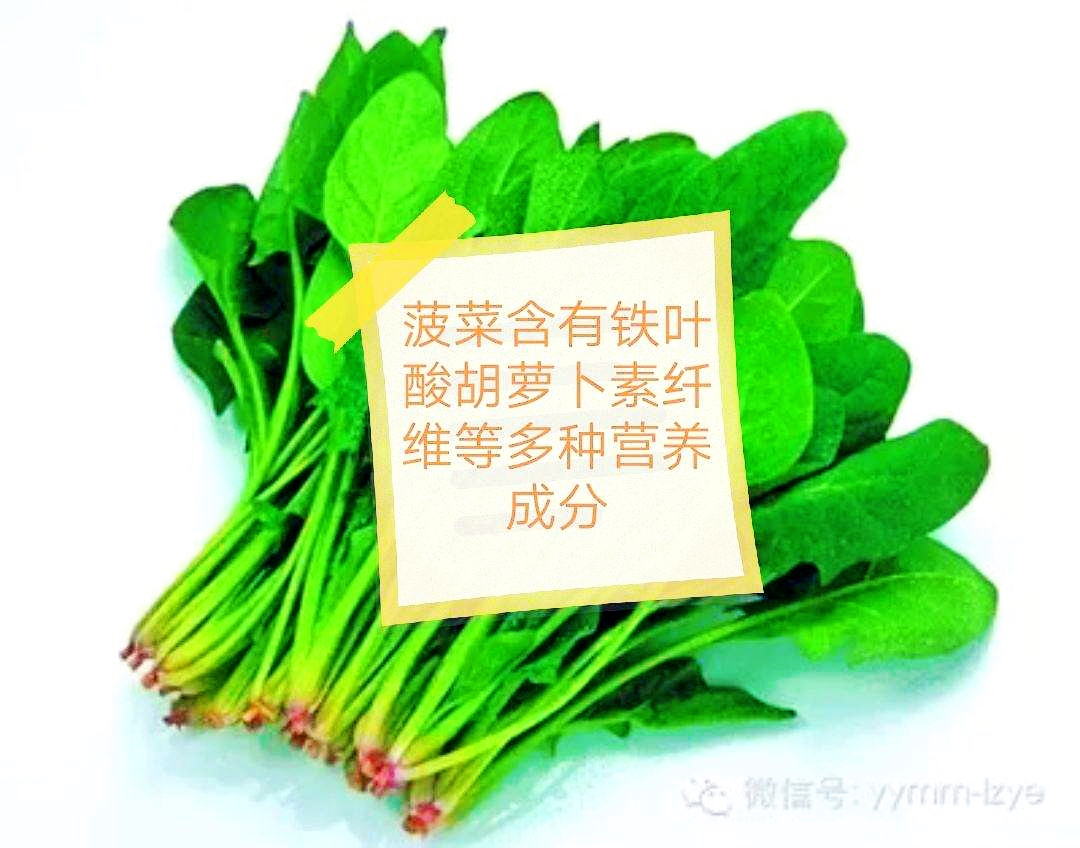 你知道吗?菠菜对人体有非常多好处,但同时也有禁忌症
