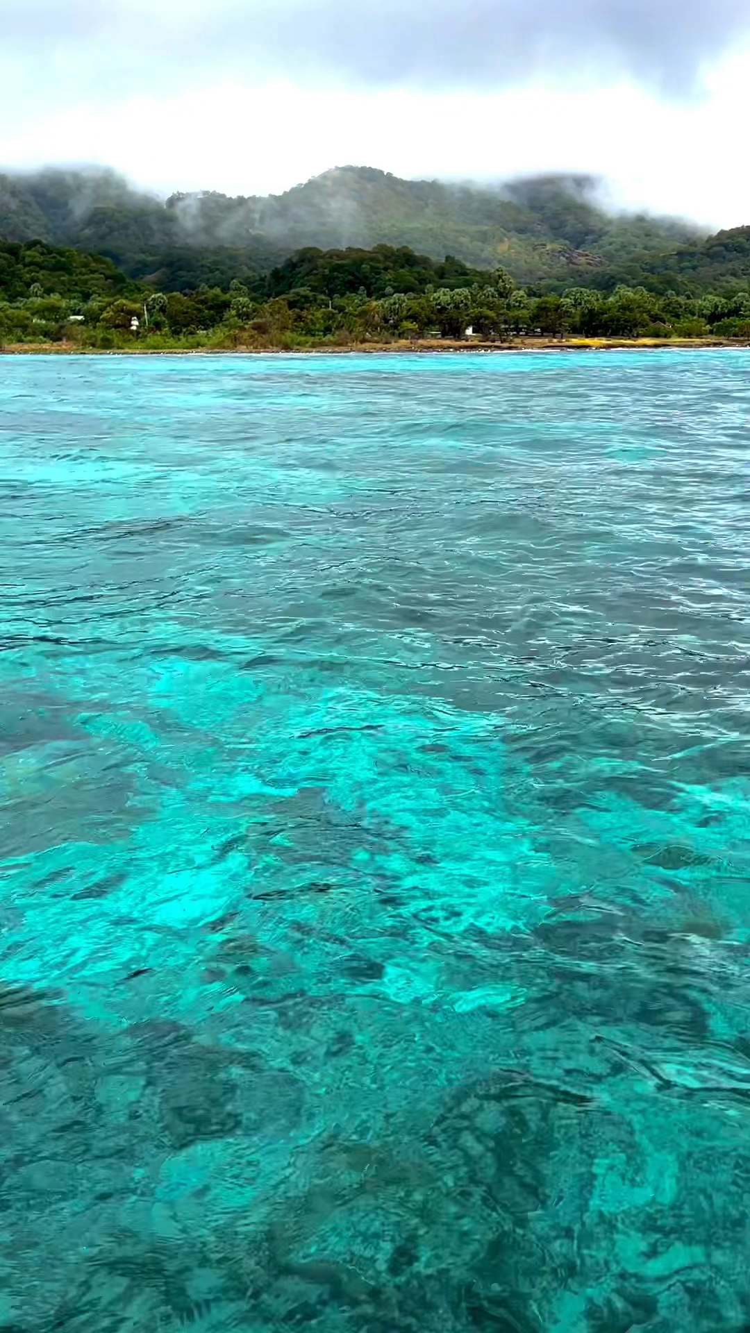 万万没想到  清澈无污染的玻璃海  就这样进入了生命倒计时