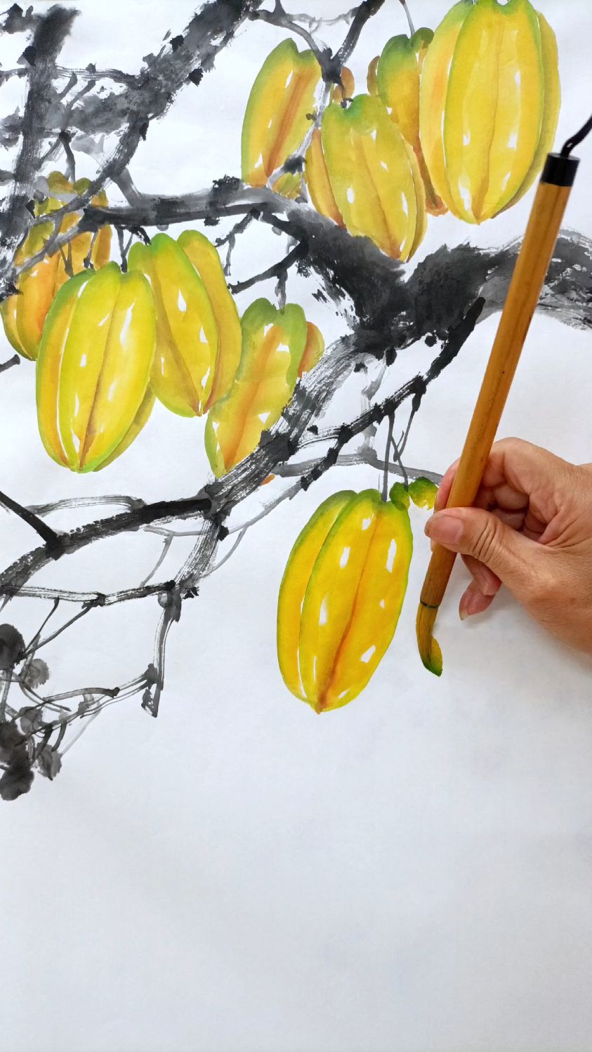 梁溢华国画小课堂杨桃技法分享