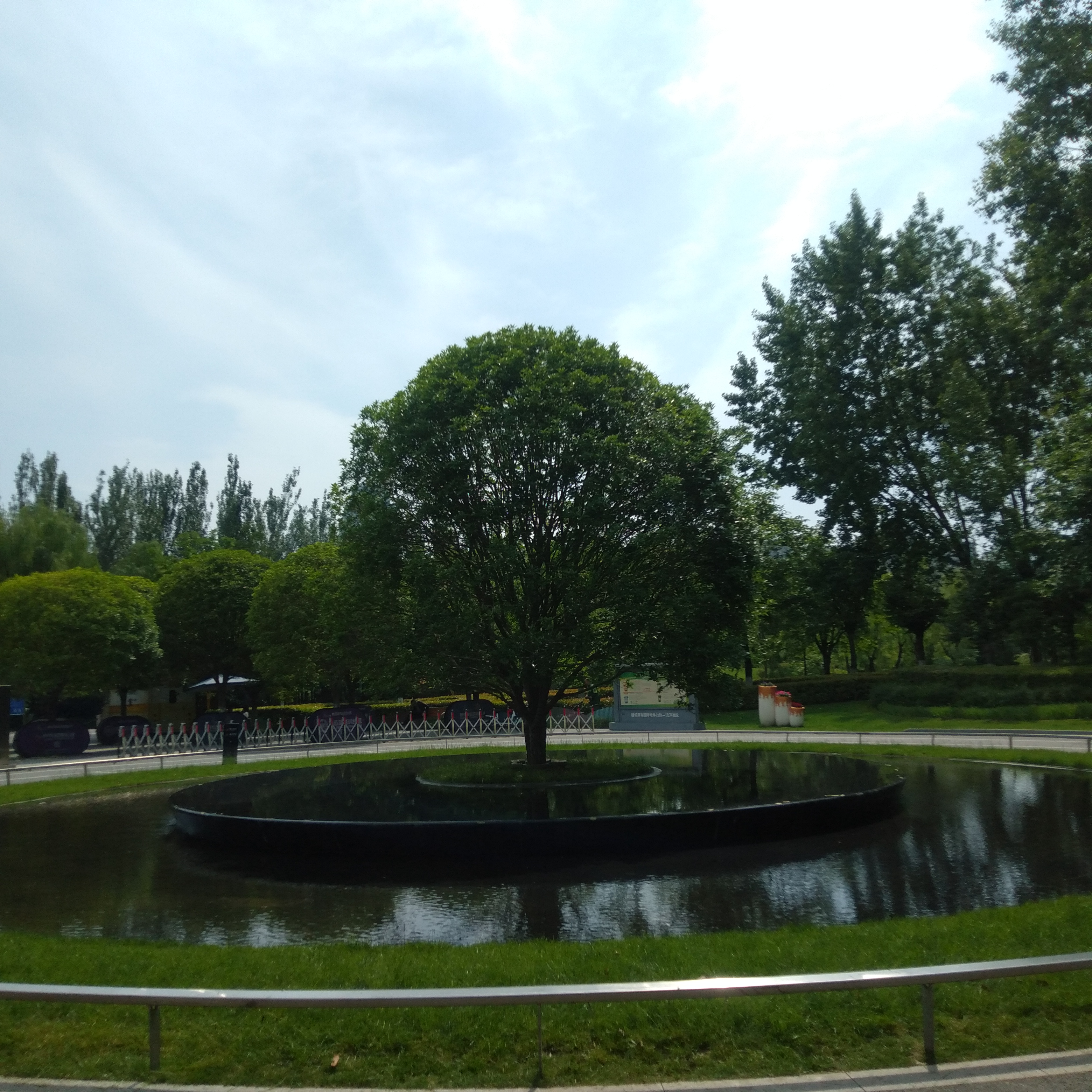 令人陶醉的美好记忆,总是在不经意间触动你