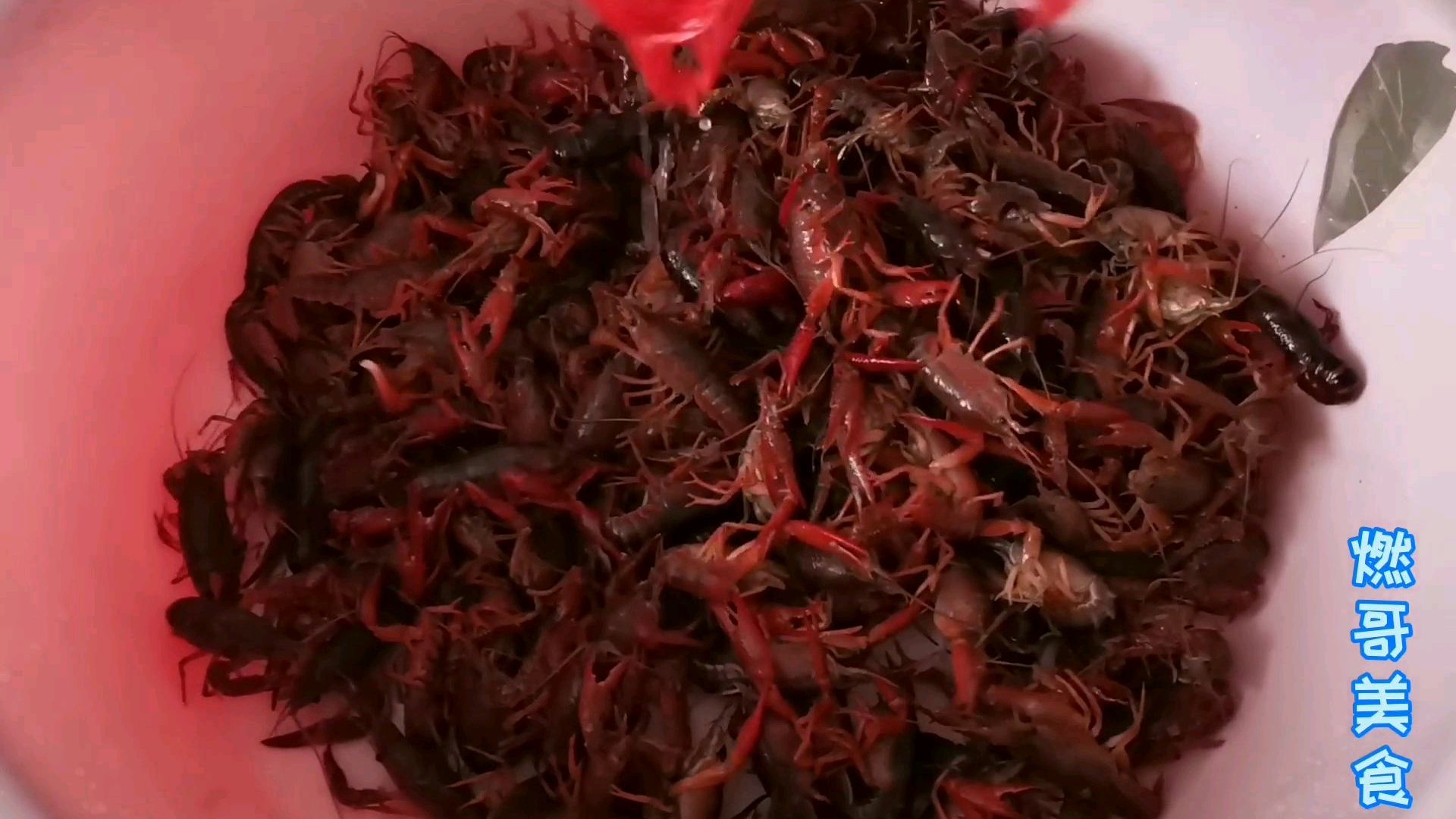 小龙虾大上市,买了十斤回来,全家齐一上阵做蒜子虾球吃