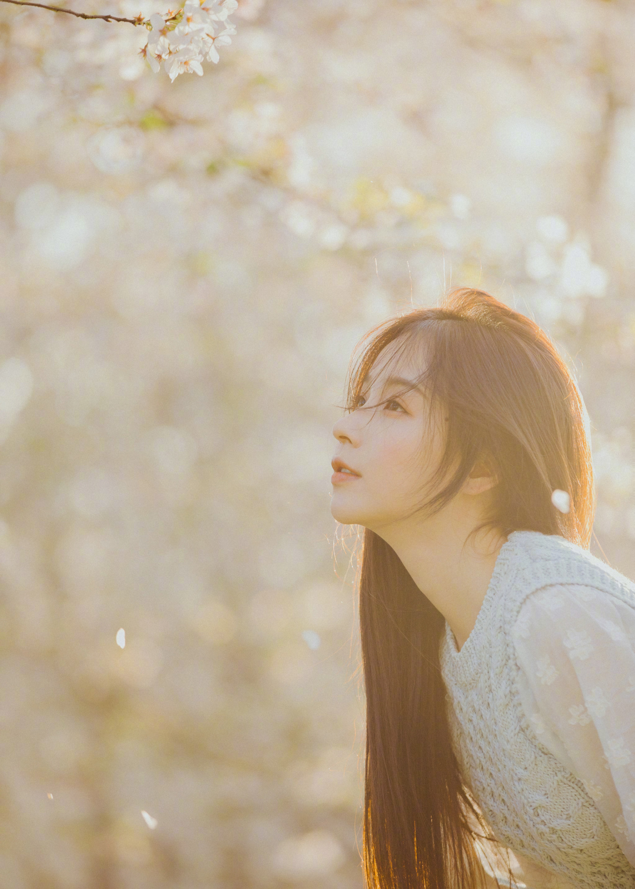 明星写真美图|周二珂