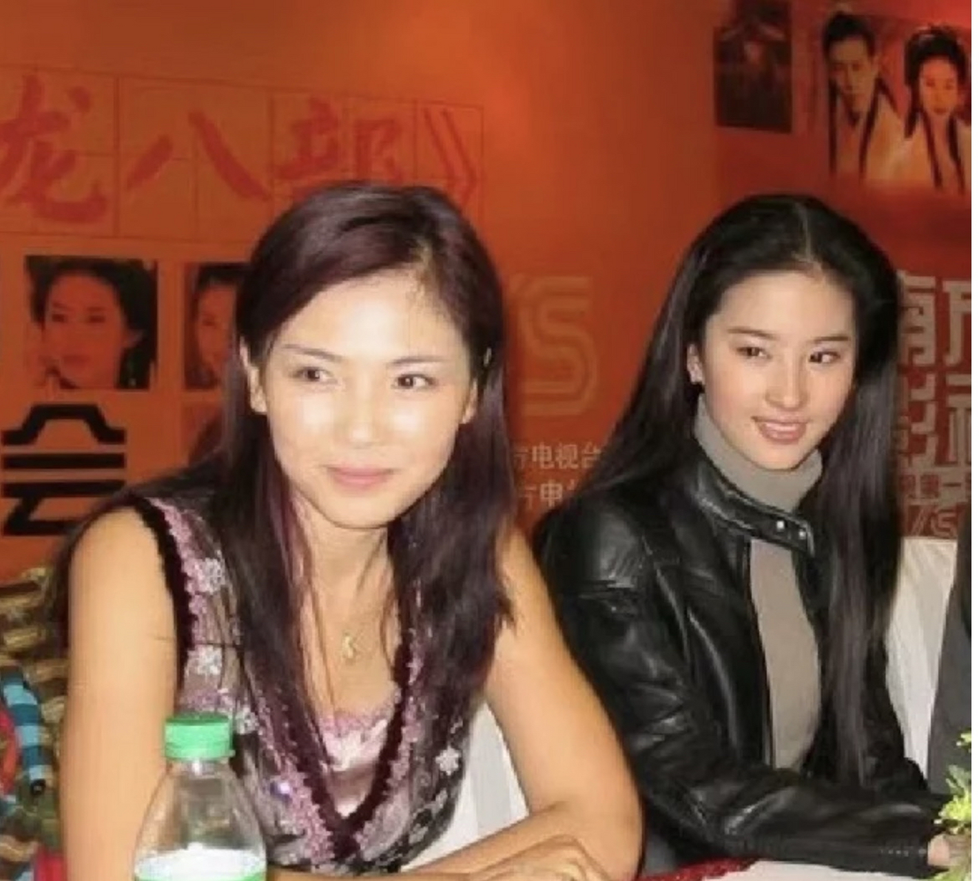 刘涛刘亦菲早期同框合照