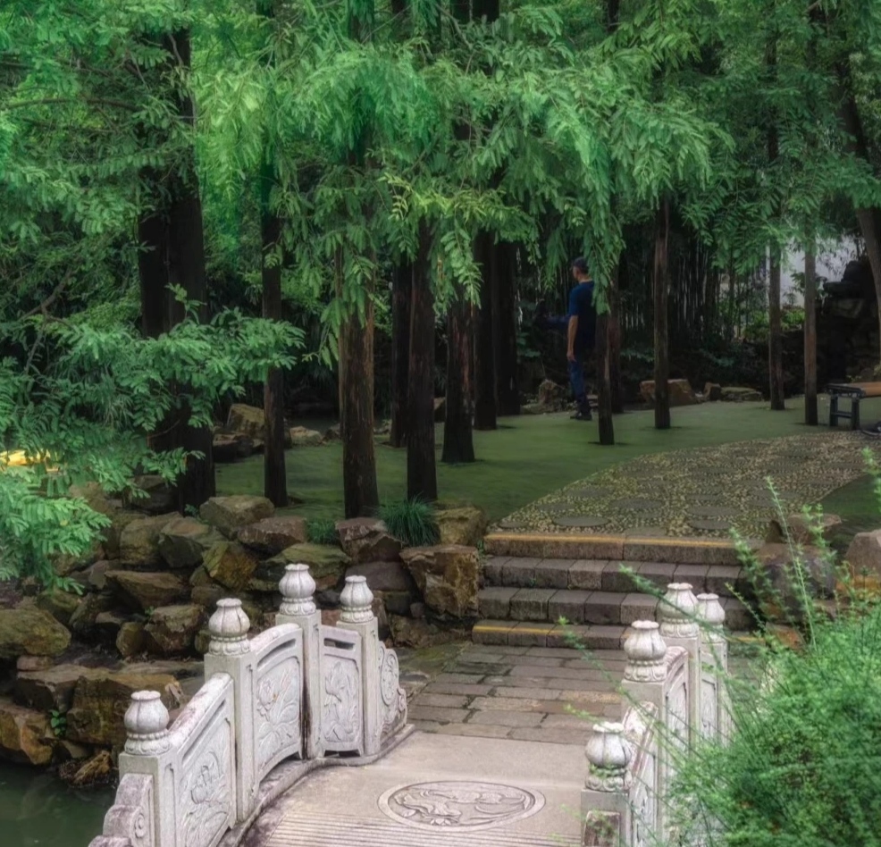 上海莘庄公园大自然奇观