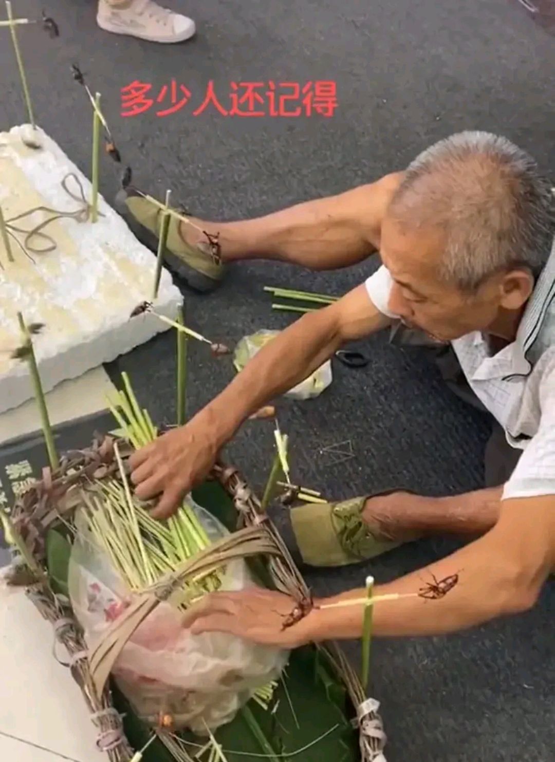 成都街头大爷卖笋子虫,好久不见了,大家还记得这个吗?