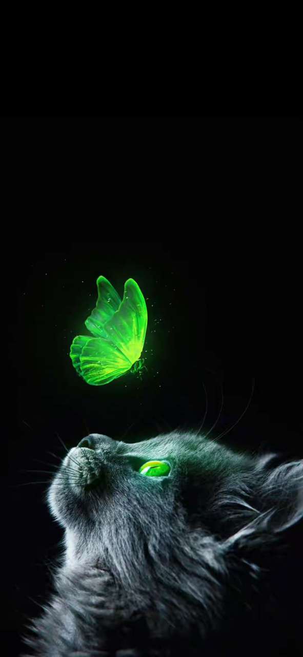 手机高清黑色系可爱小兔子壁纸猫咪锁屏壁纸超清4k