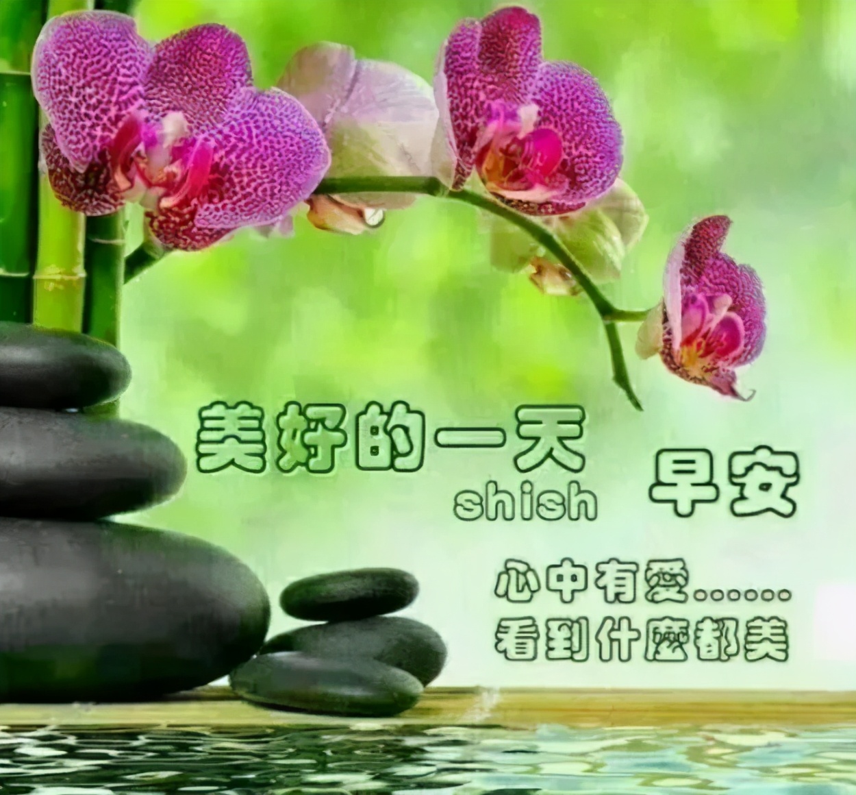 早上好每天祝福問候圖片 祝福朋友早安動態祝福圖片