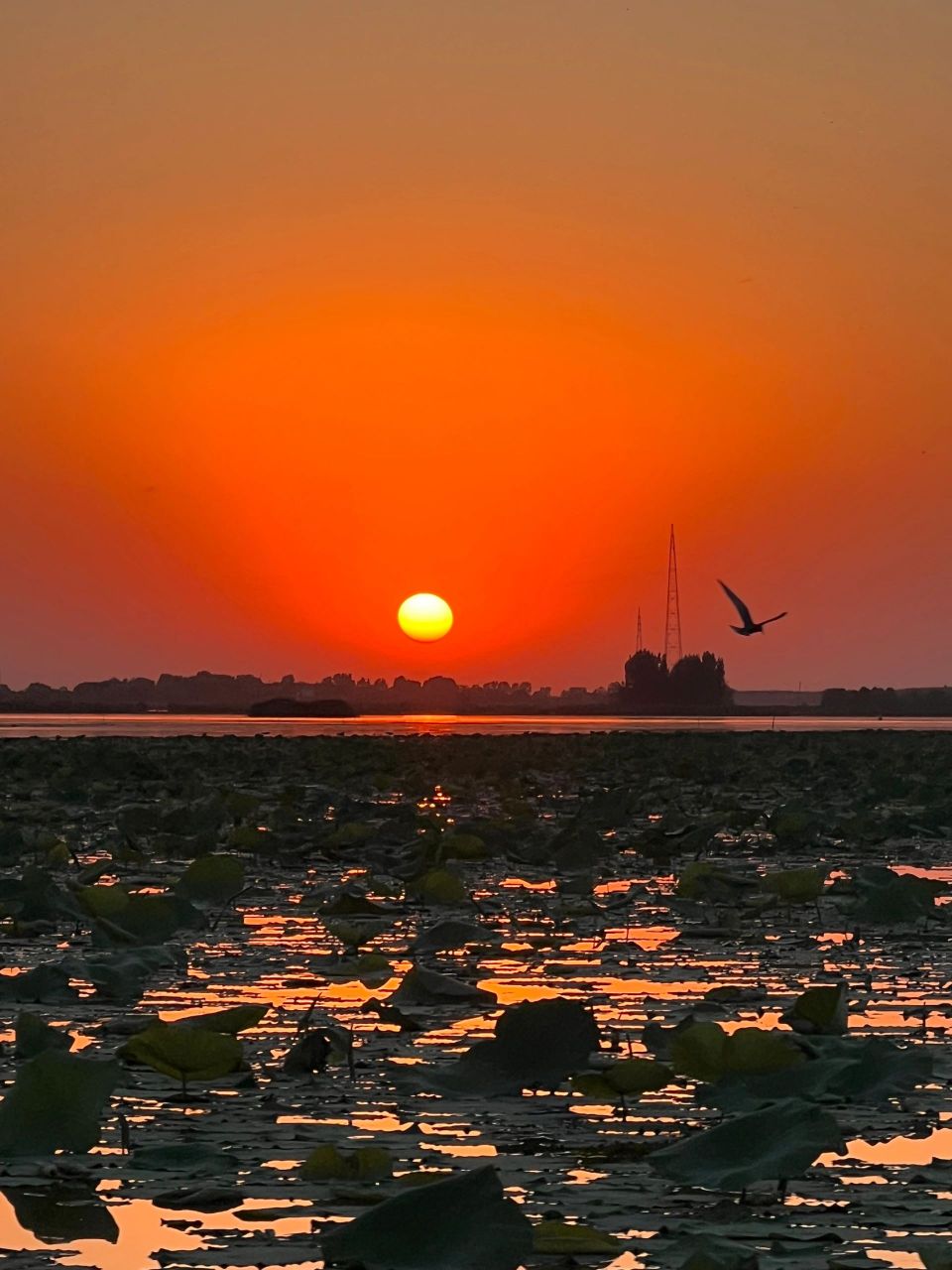 晚霞和夕阳的区别图片