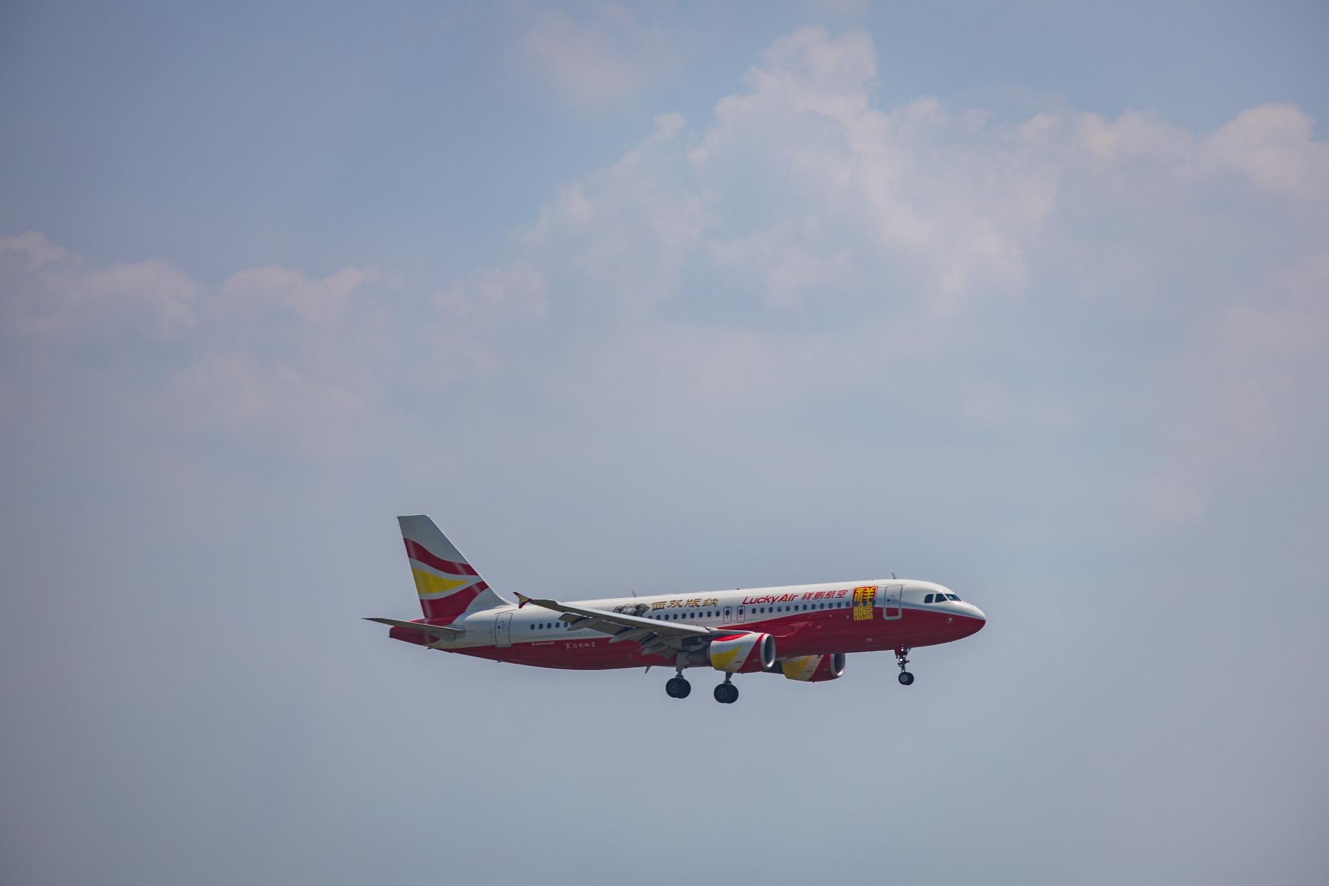 祥鹏航空西双版纳彩绘客机,空客a320