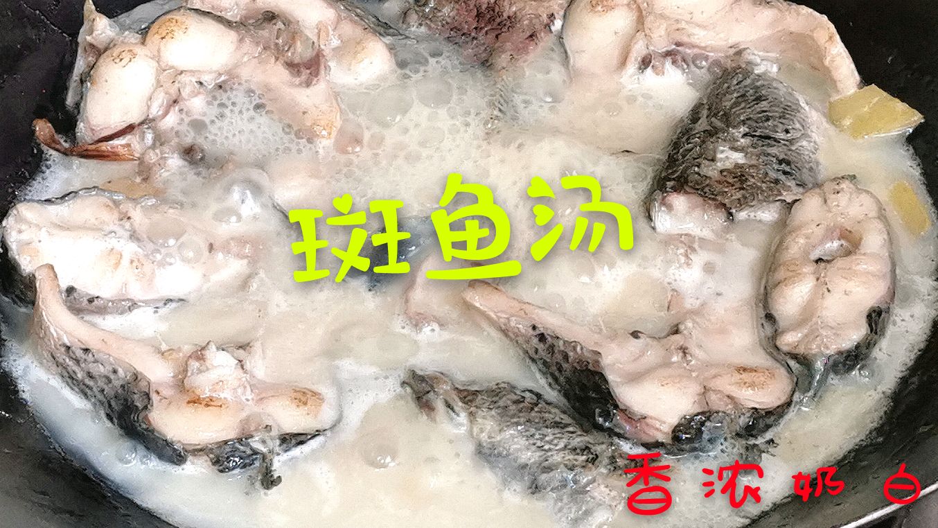 “斑鱼汤”怎样才能熬出奶白色？秘诀都在这！简单又营，零失败