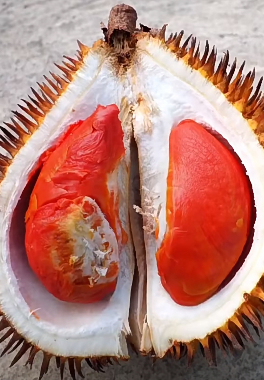 榴莲的果肉还有红色的吗?