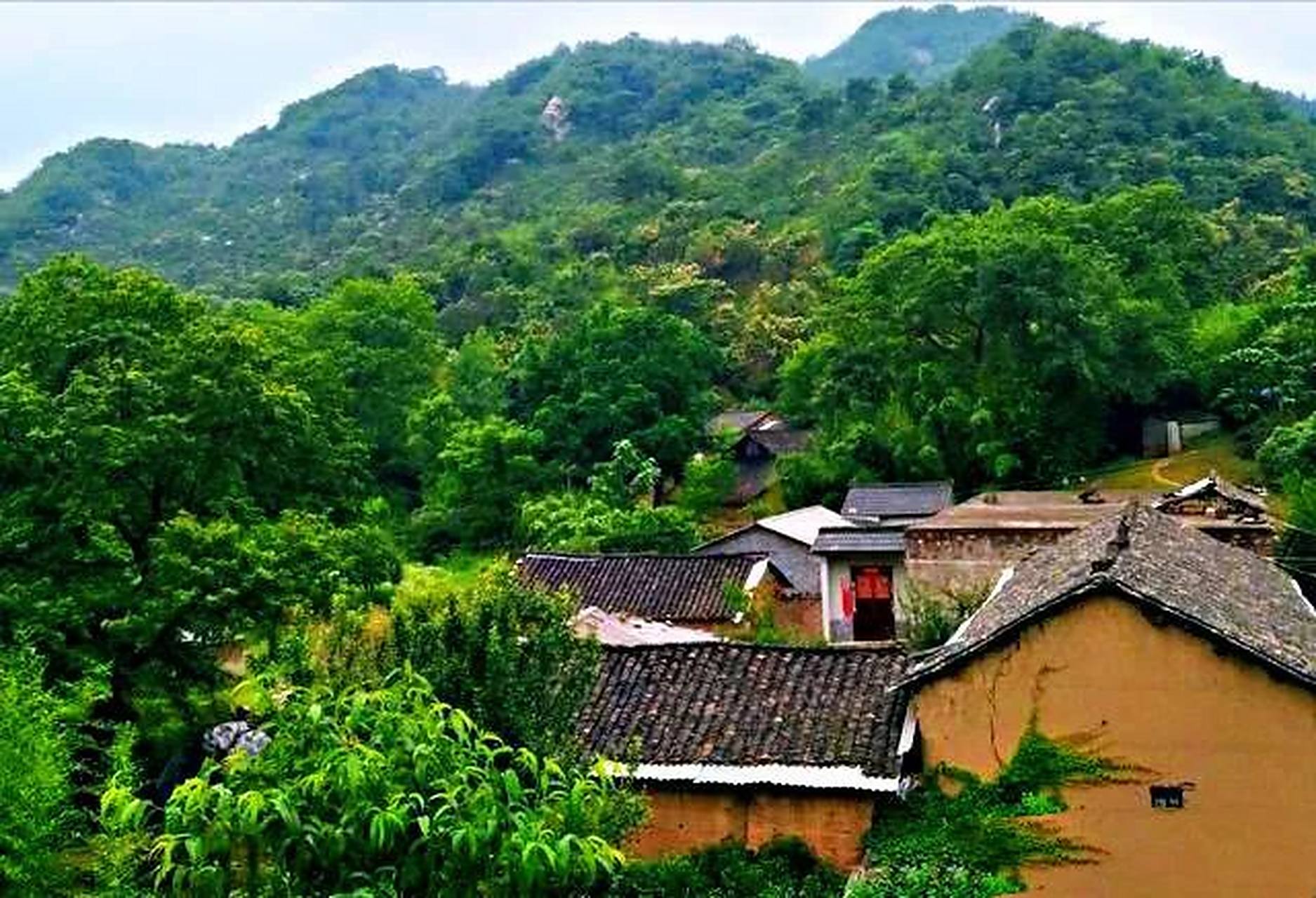 莲塘村位于罗山县灵山西北5公里,这里既有高山田垄,古寺,古村落,亦有