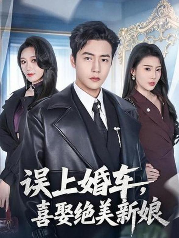 误上婚车，喜娶绝美新娘封面图