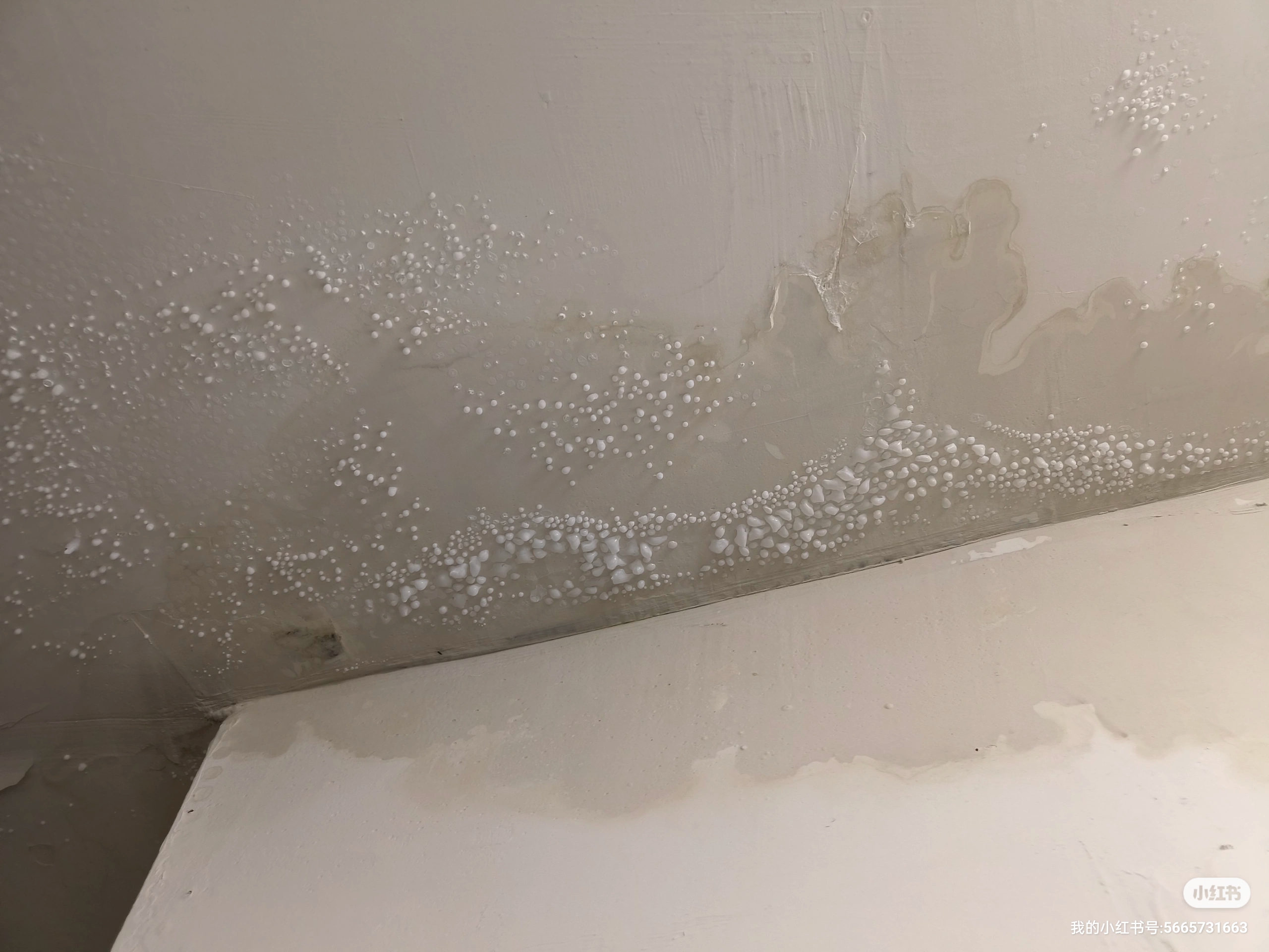 地下室漏水我们需要怎么做呢?